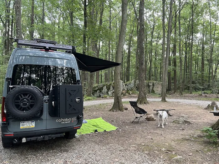 Forbes Campsite #4 3
