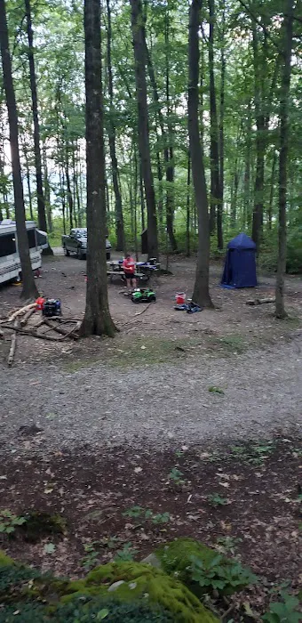 Forbes Campsite #4 4