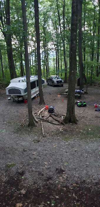 Forbes Campsite #4 10