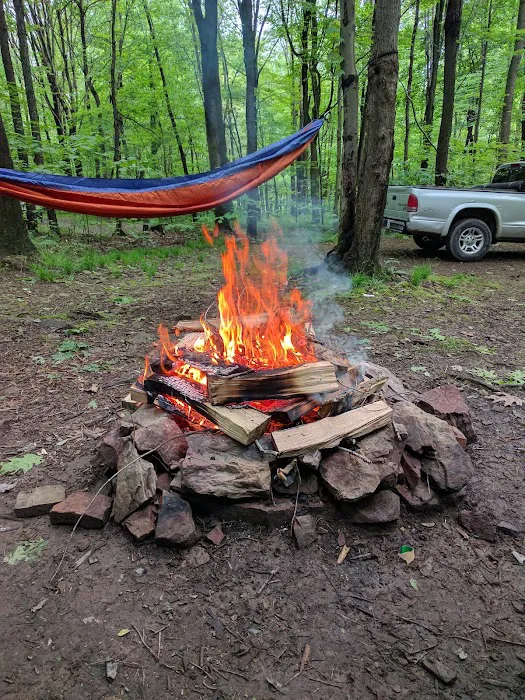 Scarlett Knob Campground Inc 4