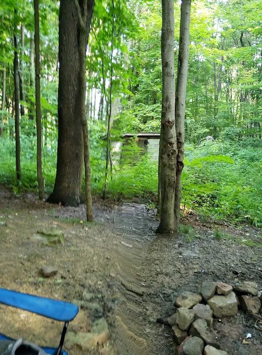 Scarlett Knob Campground Inc 6