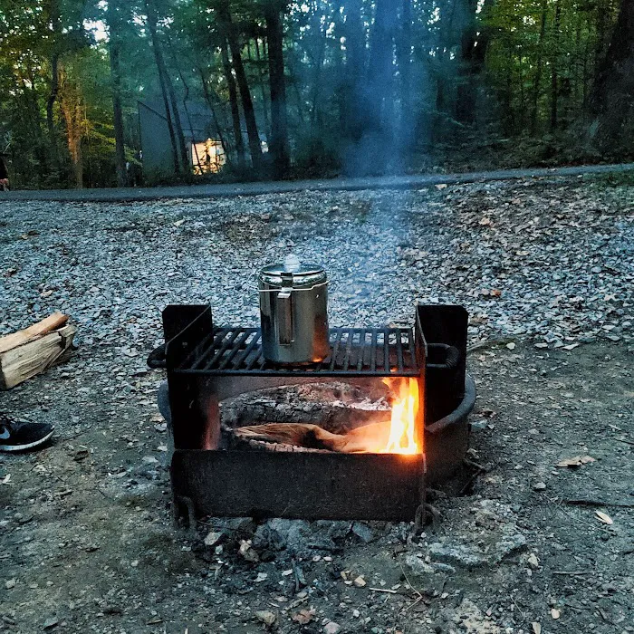 Ohiopyle State Park Kentuck Campground 5