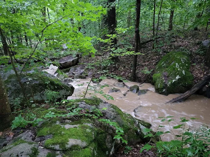 Ohiopyle State Park Kentuck Campground 3