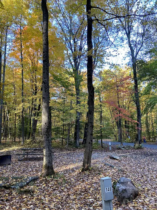 Ohiopyle State Park Kentuck Campground 6