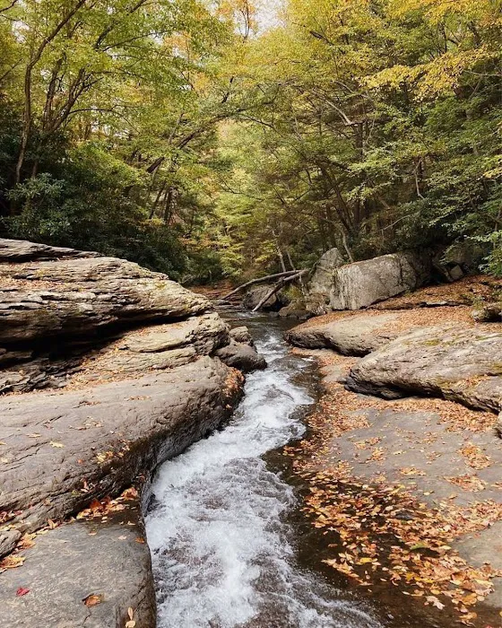 Ohiopyle State Park Kentuck Campground 8