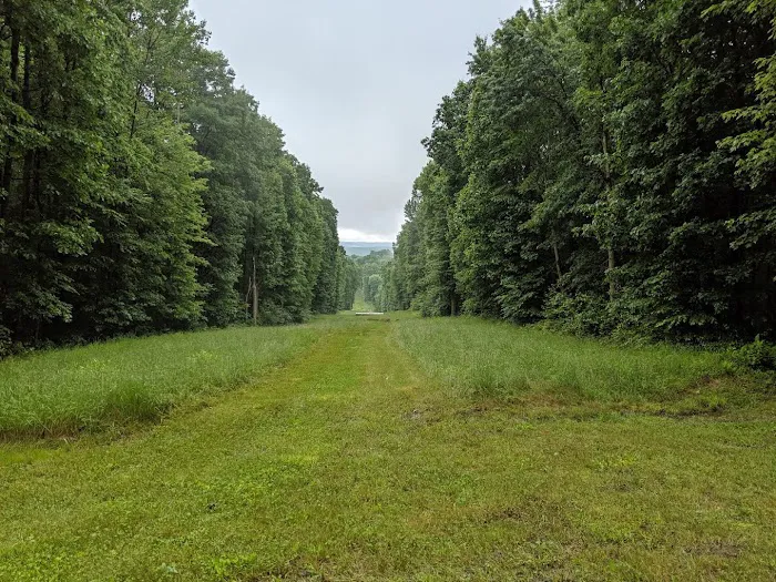 Benner's Meadow Run RV Campground 9
