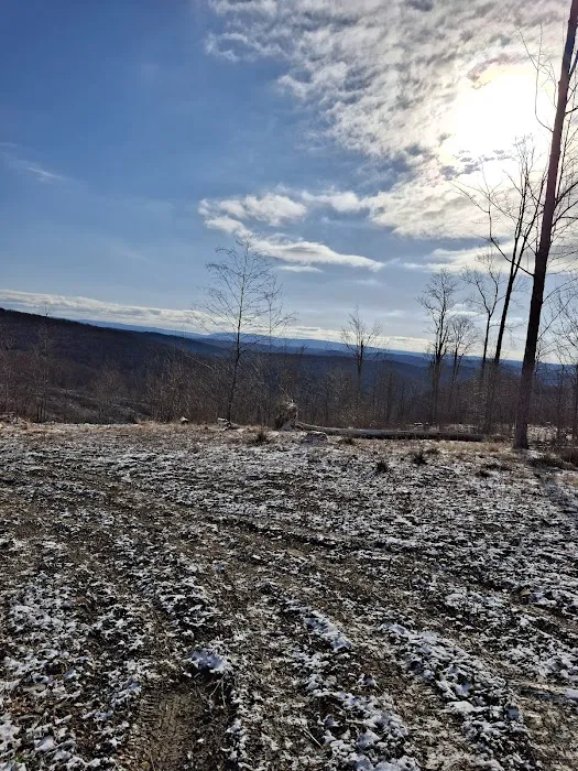 Camping Site -Shephard Rd 3