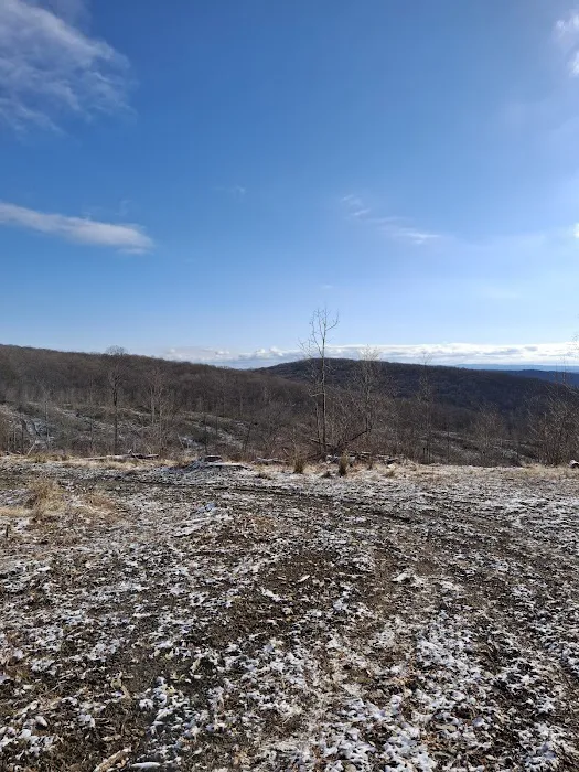 Camping Site -Shephard Rd 1