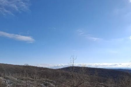 Camping Site -Shephard Rd