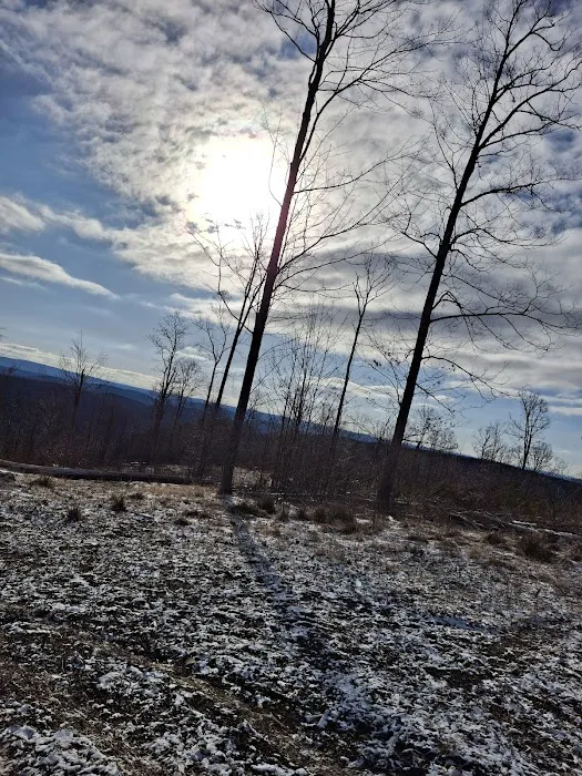 Camping Site -Shephard Rd 2