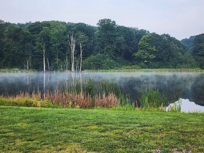 Hickory Hollow Campground 6