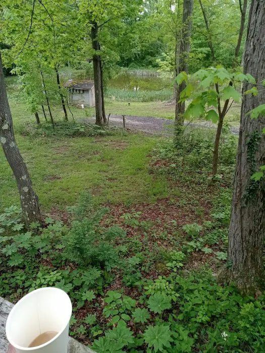 Lost Mountain Campground 4