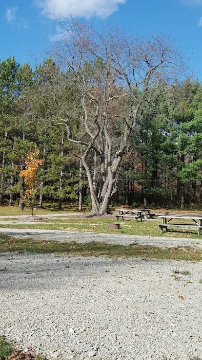 Lost Mountain Campground 6
