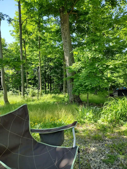 Lost Mountain Campground 8