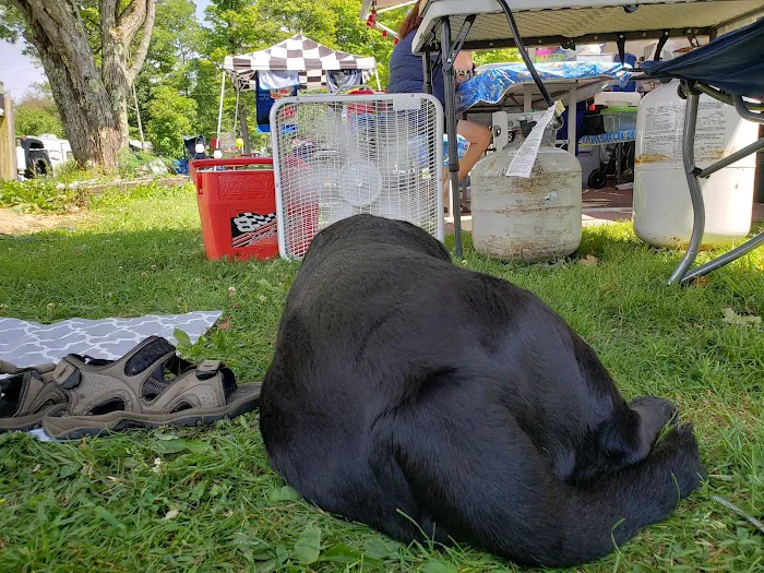 Lost Mountain Campground 7