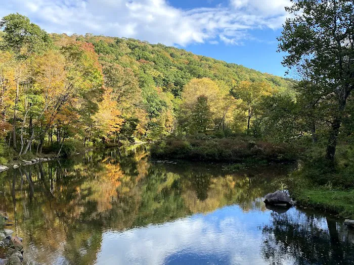 Laurel Hill State Park Campground 4