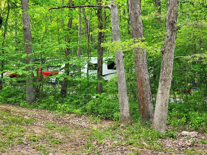 Laurel Hill State Park Campground 2
