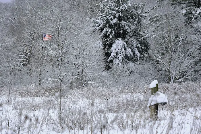 Laurel Hill State Park Campground 7