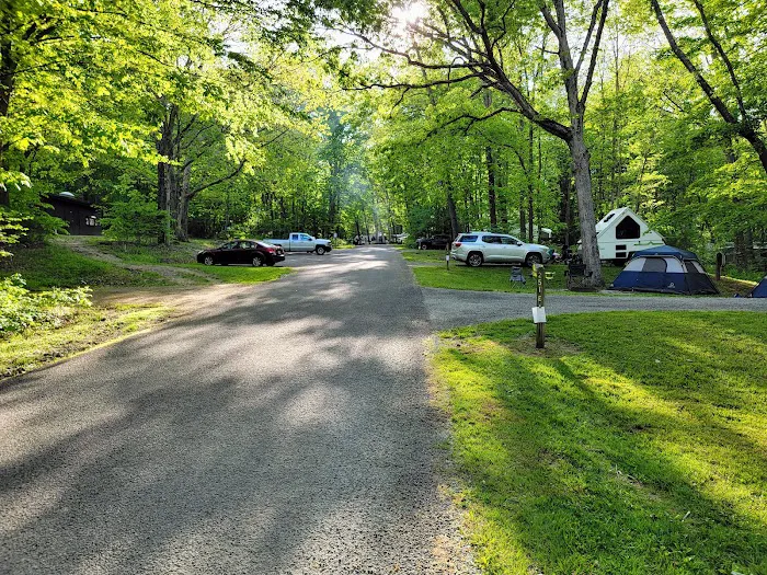 Laurel Hill State Park Campground 6