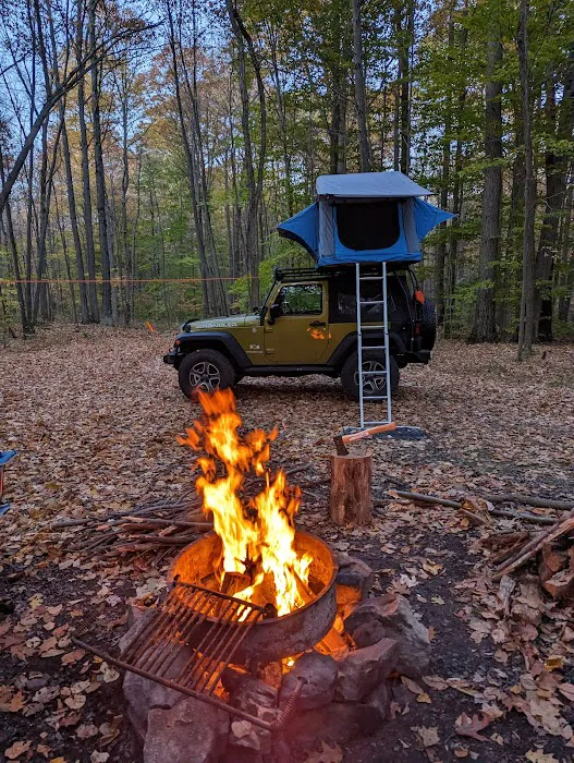 Forbes Motorized Campsite #5 1