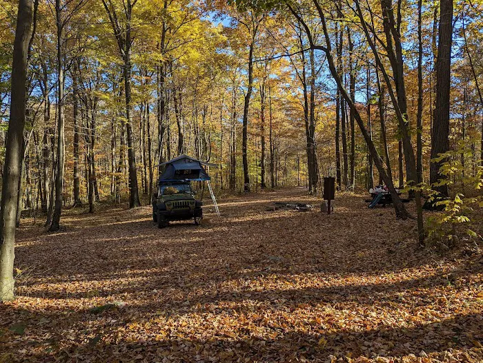 Forbes Motorized Campsite #5 2