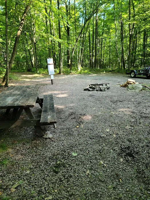 Forbes Motorized Campsite #5 4