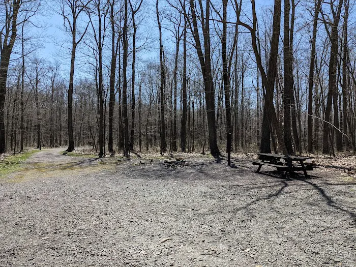 Forbes Motorized Campsite #5 9