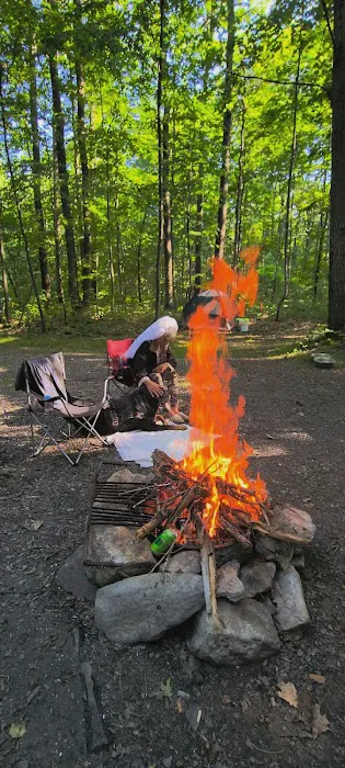 Forbes Motorized Campsite #5 6