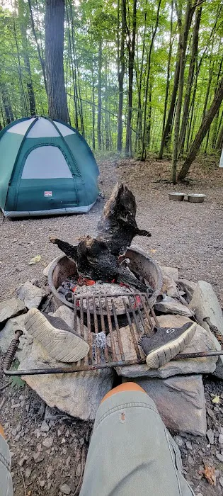 Forbes Motorized Campsite #5 10