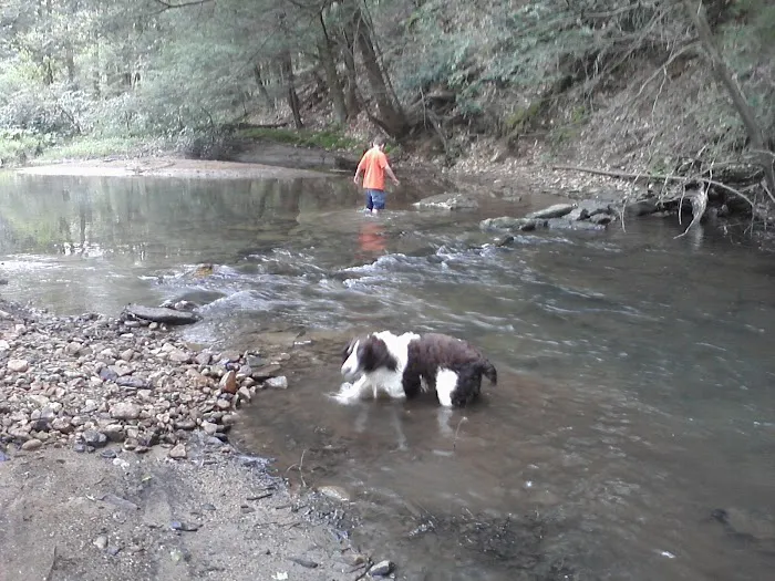 Laurel Hill State Park Group Campground 9