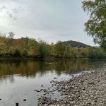 Stickpile Hill Campsite