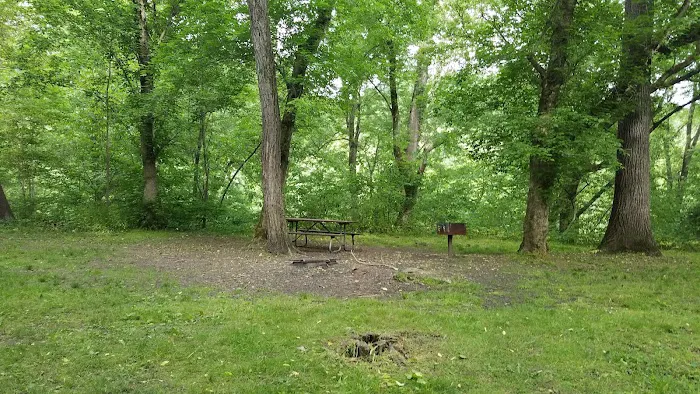 Stickpile Hill Campsite 5