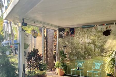 Palm and Pines