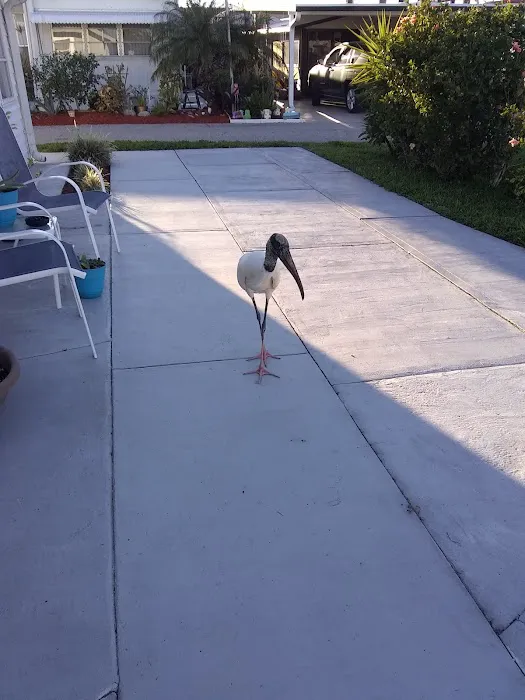 Venice Bay Adult Park 5