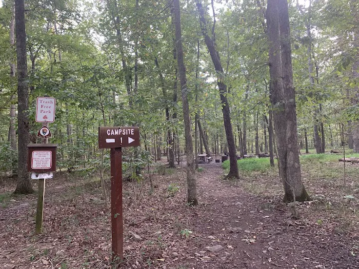 Marsden Tract Group Campground 2