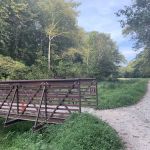 Marsden Tract Group Campground