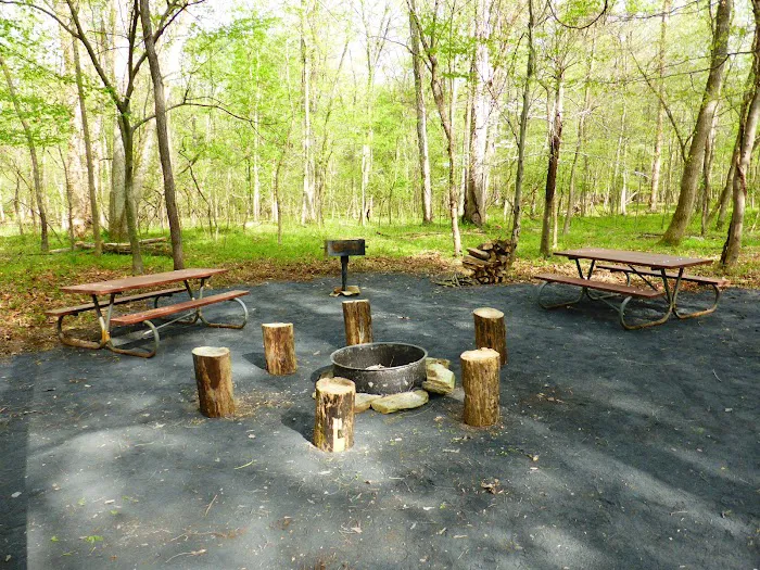 Marsden Tract Group Campground 3