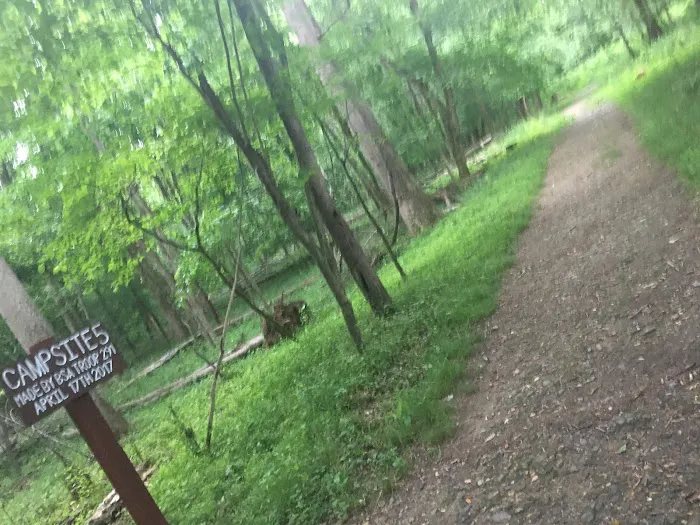 Marsden Tract Group Campground 10