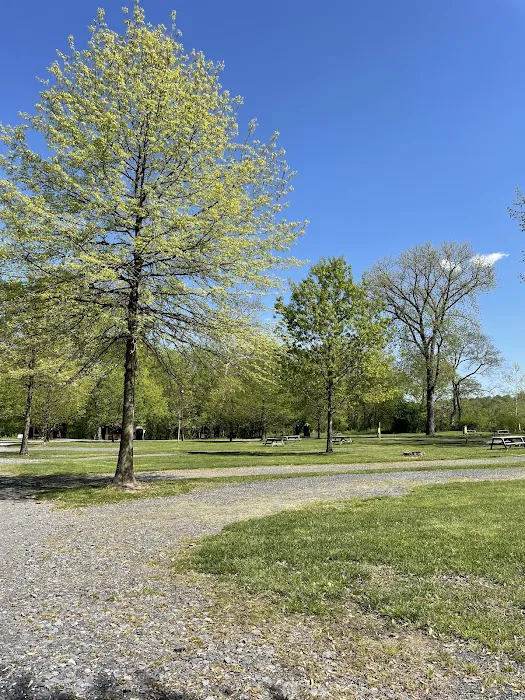 Brunswick Family Campground 4
