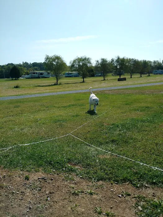 Nahkeeta Campsite LLC 10