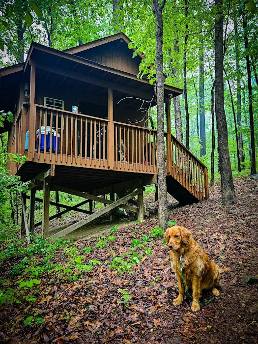 The Treehouse Camp At Maple Tree LLC 6