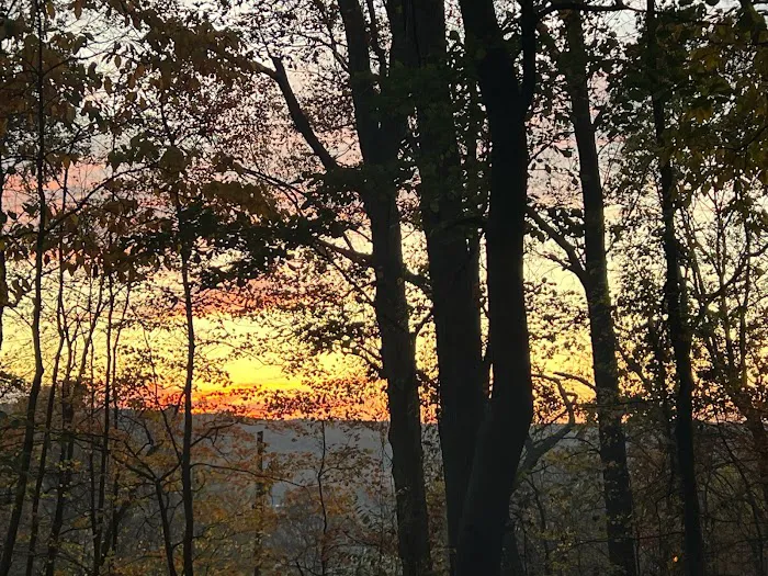 The Treehouse Camp At Maple Tree LLC 10