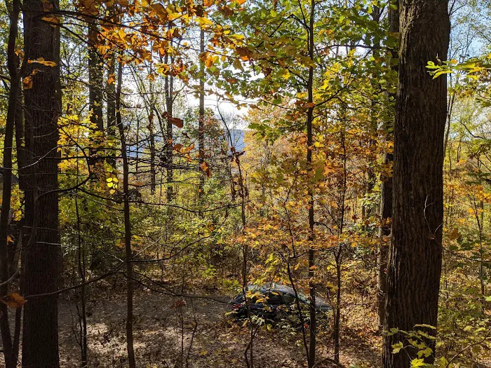 The Treehouse Camp At Maple Tree LLC 8