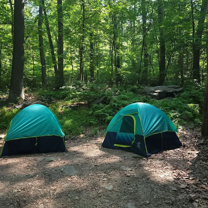The Treehouse Camp At Maple Tree LLC 7