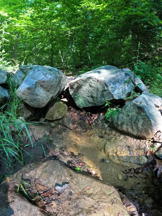 Crampton Gap Campsite 5