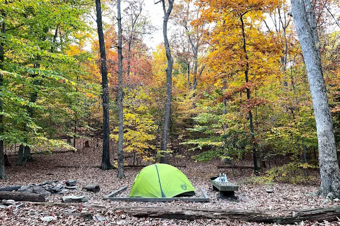 Crampton Gap Campsite 4
