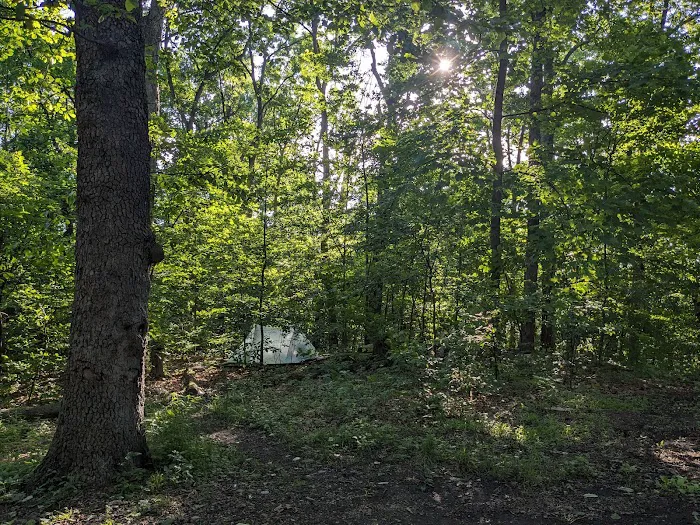 Crampton Gap Campsite 7