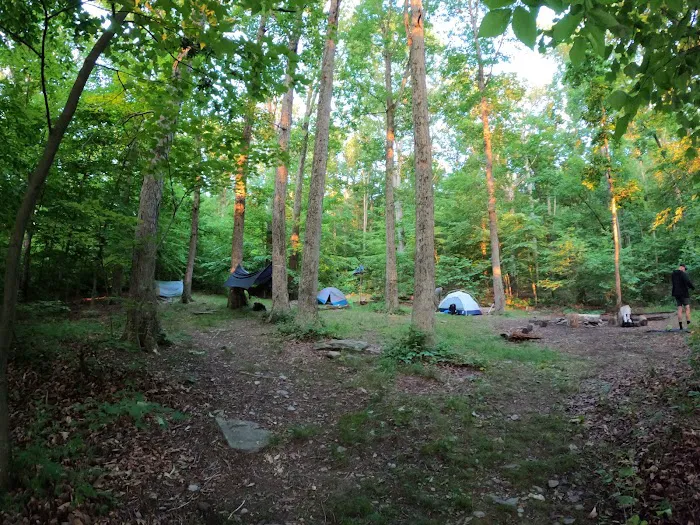 Crampton Gap Campsite 2