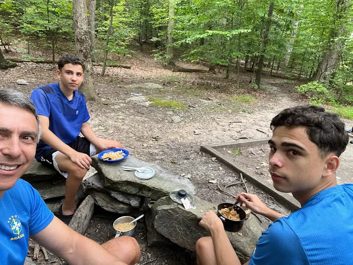 Crampton Gap Campsite 6
