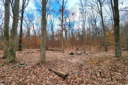 Crampton Gap Campsite